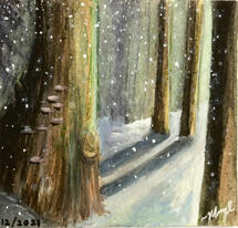 winter shadows